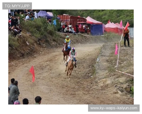 赛马跑道大事故两马摔倒伤情不明 赛马跑道大事故两马摔倒伤情不明