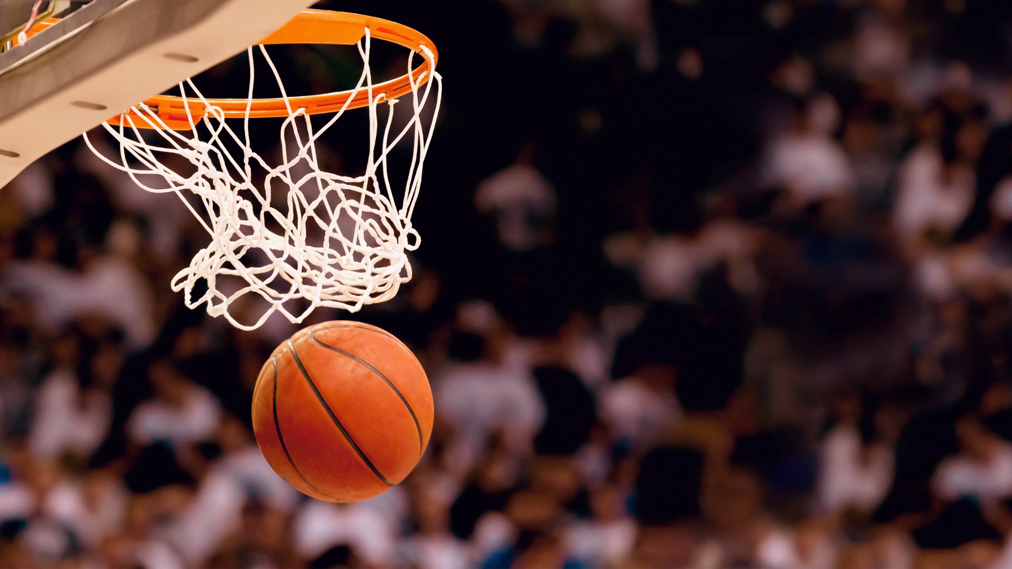 世界体操单项赛赛后志愿者培训教材更新上线，世界体操协会